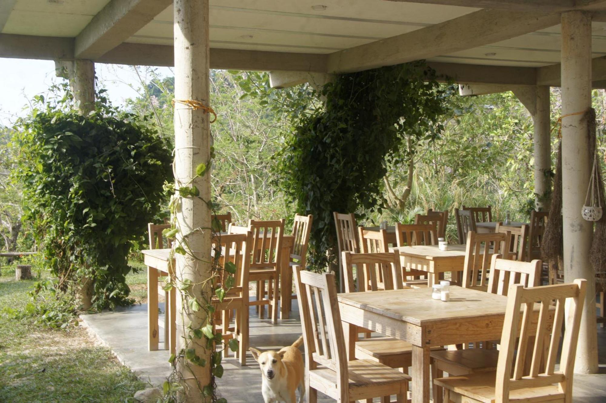 Hostal Vista Verde מינקה מראה חיצוני תמונה